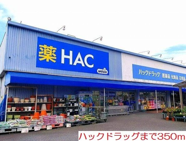 近くのハックドラッグまで350m(徒歩5分)