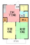 コート中野の間取り画像