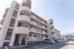 泰山ハイツの間取り画像