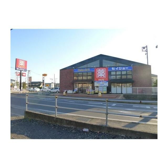 近くのセイジョー　大和渋谷店まで300m（徒歩4分）