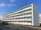 ビレッジハウス下島第二1号棟の間取り画像