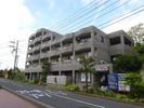 ナーサリー湘南の間取り画像