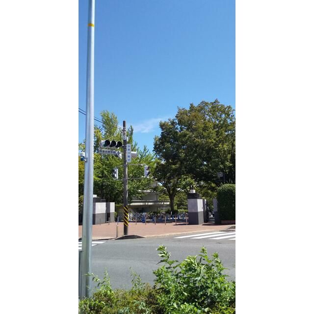 近くの東海大学湘南キャンパスまで130m（徒歩2分）