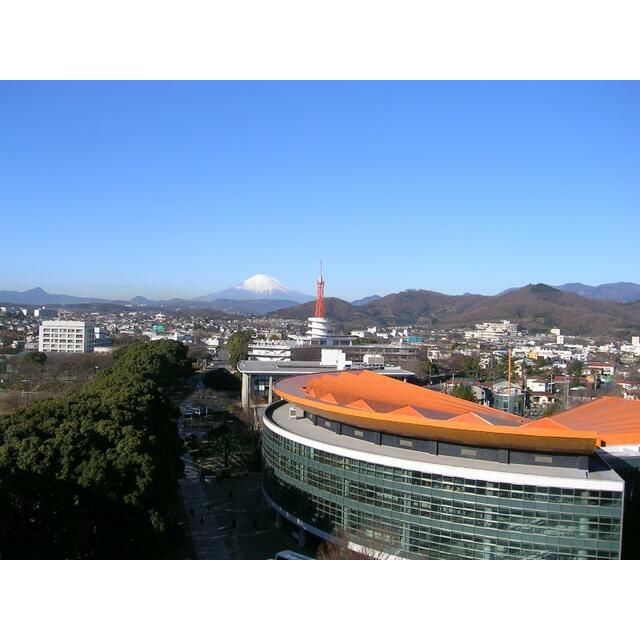 近くの秦野東海大学前郵便局まで574m（徒歩8分）