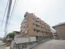 ライオンズマンション平塚第3の間取り画像