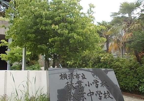 近くの秋葉小学校まで379m（徒歩5分）