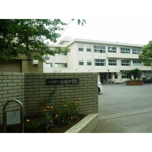 近くの小田原市立白鴎中学校まで1,803m（徒歩23分）