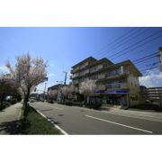 スプリングスプラザいずみ野の外観画像