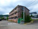 セレーノIの間取り画像