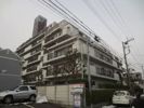 朝日プラザ桜ケ丘IIの間取り画像