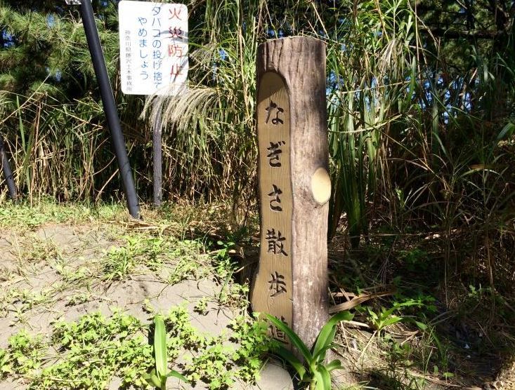 近くの茅ヶ崎海岸しおさいの森まで898m（徒歩12分）