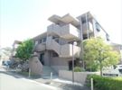 RIVER矢羽根の間取り画像