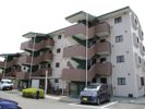 シティパル戸塚IIIの間取り画像