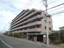 日神パレステージ辻堂の間取り画像