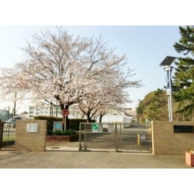 近くの茅ヶ崎市立室田小学校まで237m(徒歩3分)