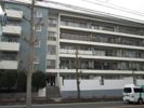 江の島マンションの間取り画像