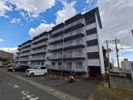 テレパレス伊勢原6号棟の間取り画像