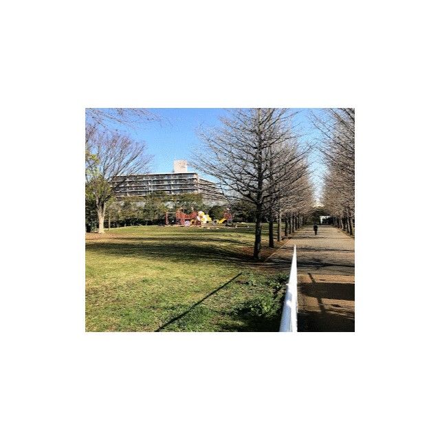 近くの御殿辺公園まで865m(徒歩11分)