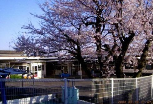 近くの藤沢市明治保育園まで99m(徒歩2分)