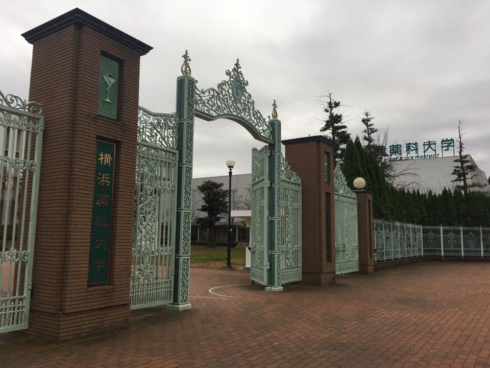近くの横浜薬科大学まで650m(徒歩9分)