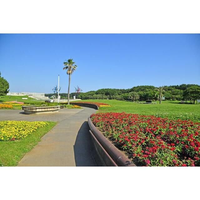 近くの辻堂海浜公園まで1,024m(徒歩13分)