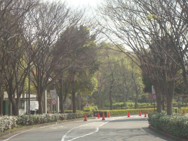近くの慶應大学藤沢キャンパスまで300m(徒歩4分)