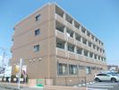 エクレセンス新富の外観