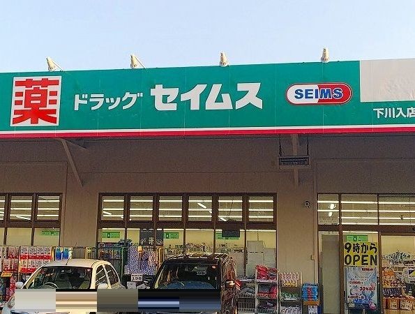 近くのドラッグセイムス下川入まで550m(徒歩7分)