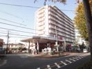サンプラザ湘南の間取り画像