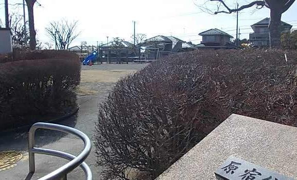 近くの原宿公園まで147m(徒歩2分)
