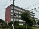 東高森団地10号棟の間取り画像