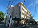 レイシャント鵠沼の間取り画像