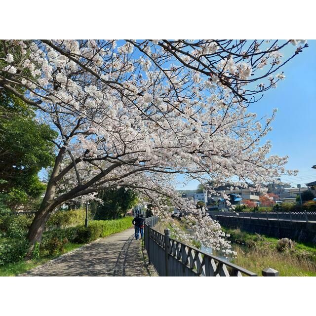 近くのいたち川まで450m（徒歩6分）