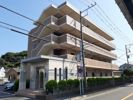 パール・シェル鎌倉の間取り画像