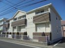 プラシードの外観