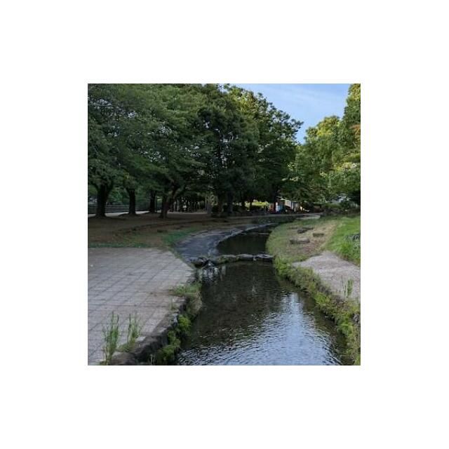 近くの北部公園まで931m(徒歩12分)