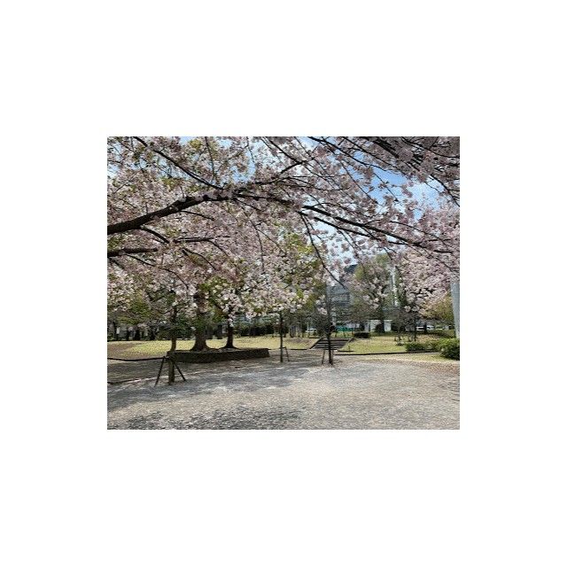 近くの湘南台公園まで583m(徒歩8分)