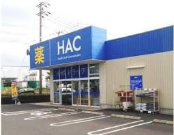 近くのハックドラッグ 藤沢遠藤店まで597m（徒歩8分）