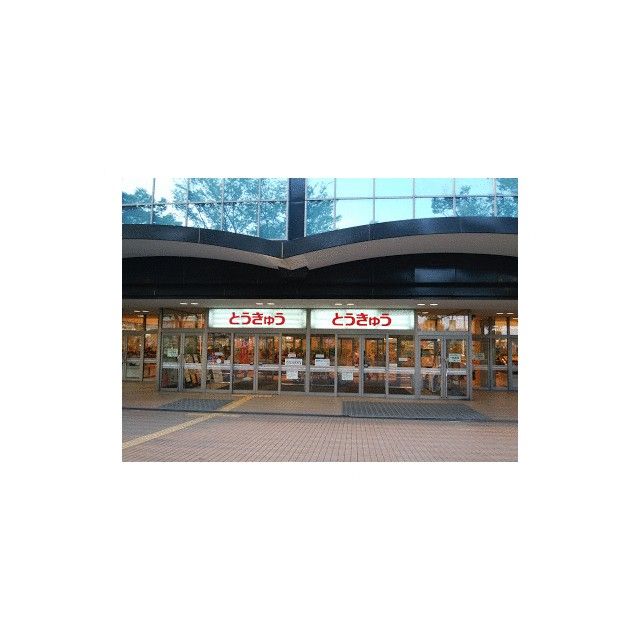 近くの湘南とうきゅうまで773m(徒歩10分)