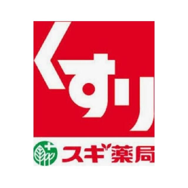 近くのスギ薬局飯島町店まで879m（徒歩11分）
