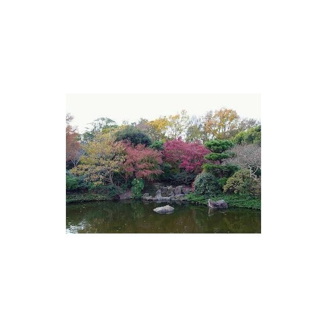 近くの長久保公園まで1,037m(徒歩13分)