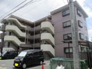 ヒヨシハイツの外観