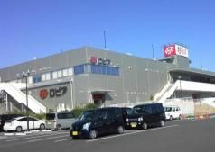 近くのロピア湘南めぐみが丘店まで606m（徒歩8分）