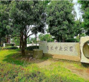 近くの公園まで250m(徒歩4分)