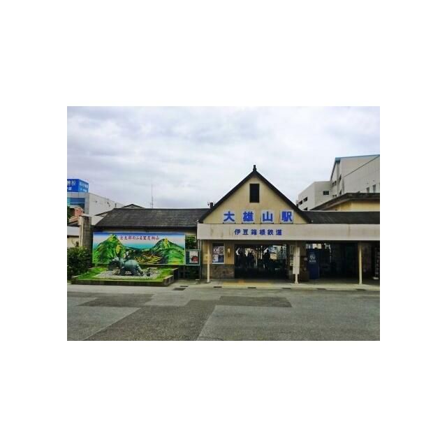 近くの大雄山線「大雄山駅」画像まで320m(徒歩4分)