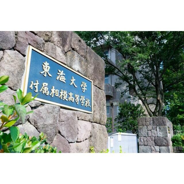 近くの私立東海大学付属相模高校まで633m（徒歩8分）