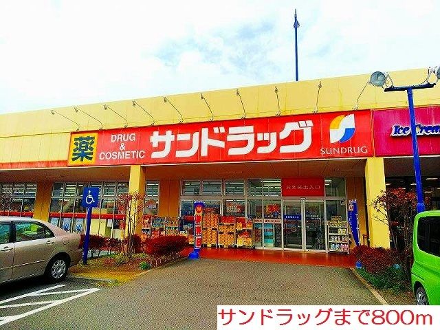 近くのサンドラッグまで800m（徒歩10分）