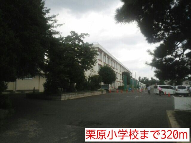 近くの栗原小学校まで320m(徒歩4分)