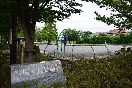 近くの桜ヶ丘公園まで527m（徒歩7分）