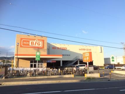 近くのザ・ビッグ平塚真田店まで437m（徒歩6分）